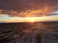 de-terugreis-aan-boord-van-de-dfds-ferry
